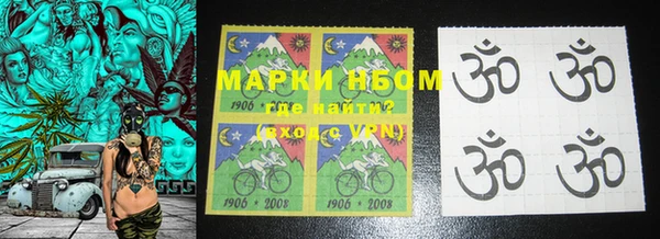 крисы Баксан