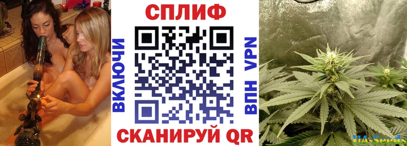 Купить  Черноголовка  МАРИХУАНА OG Kush 
